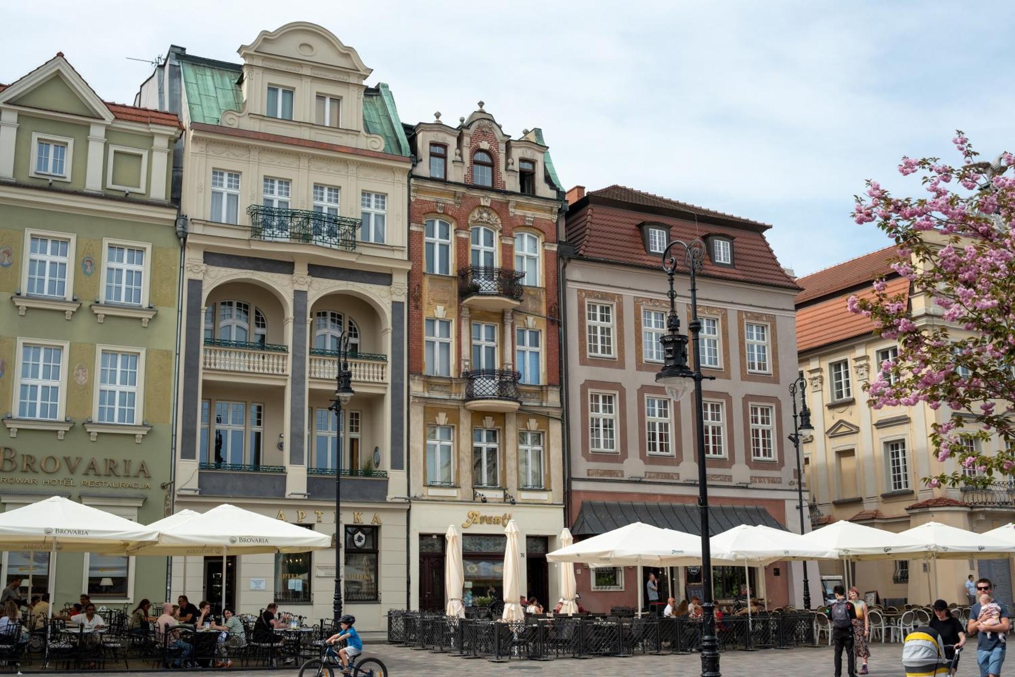 Apartamenty Drevny Kocur Poznań Esterno foto