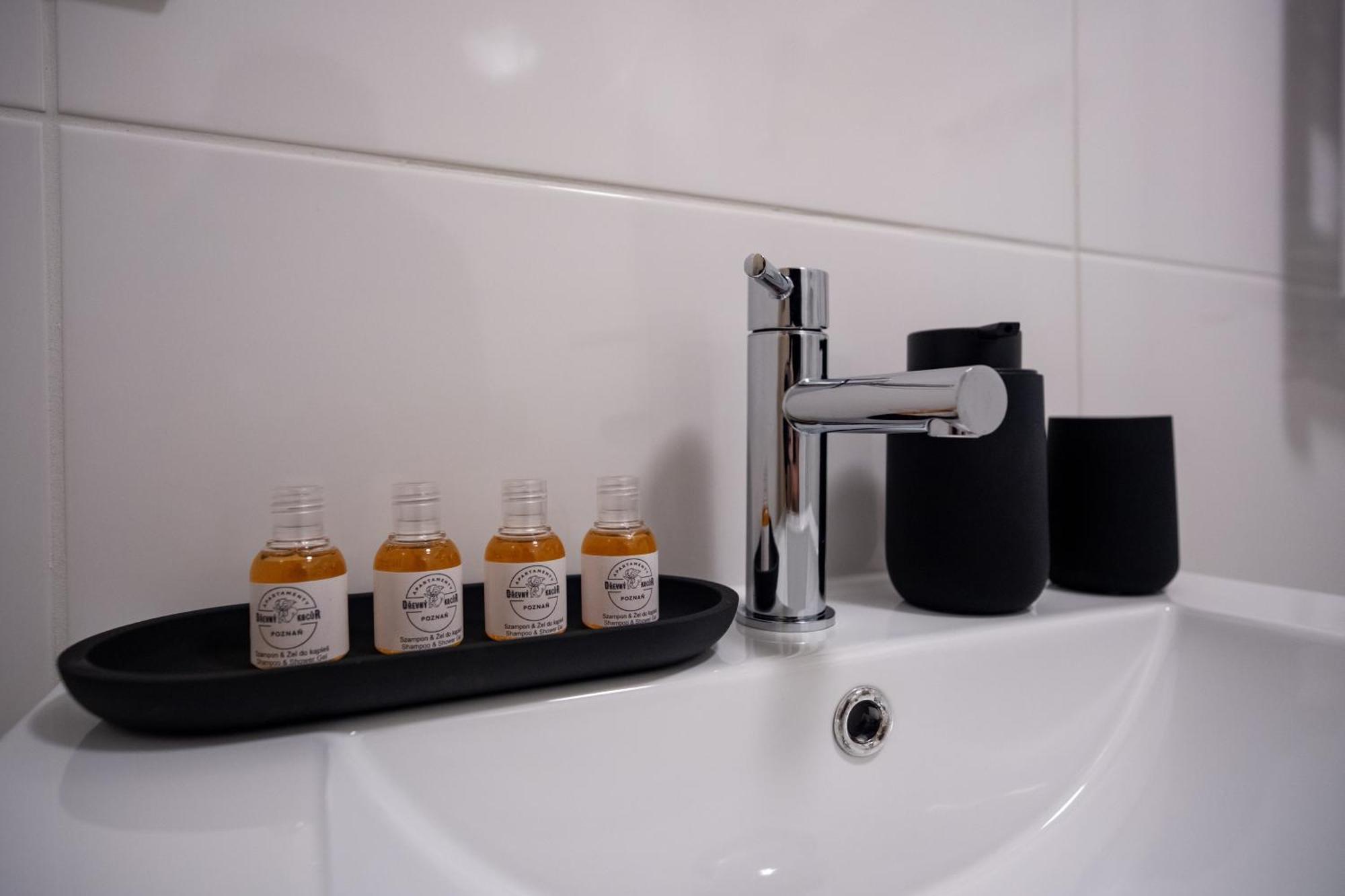 Apartamenty Drevny Kocur Poznań Esterno foto
